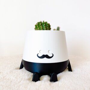 Larold the gentleman // happy pot - plant pots for lined plants